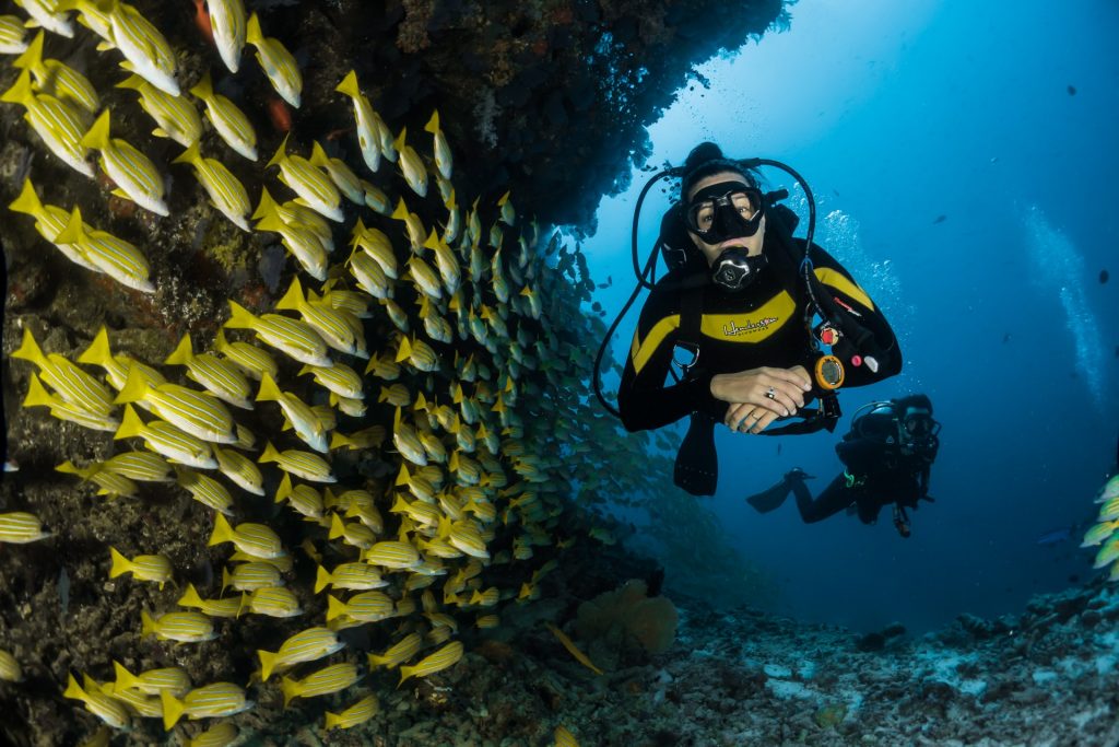 scuba diving travel agents uk