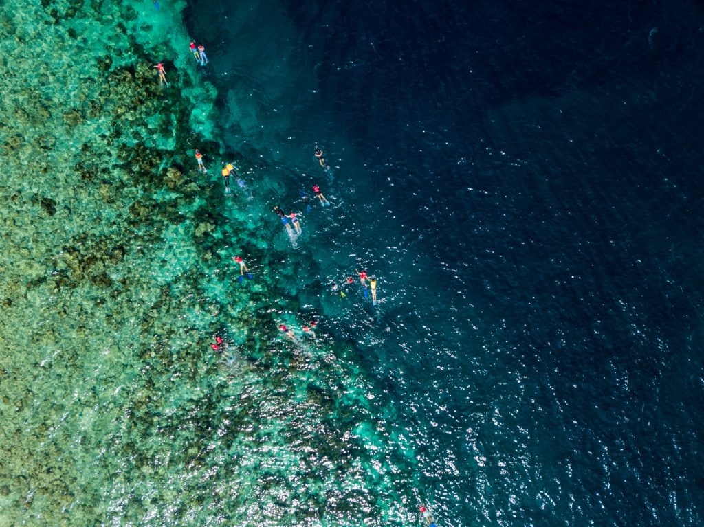Snorkelling from Pulau Payar Marine Park