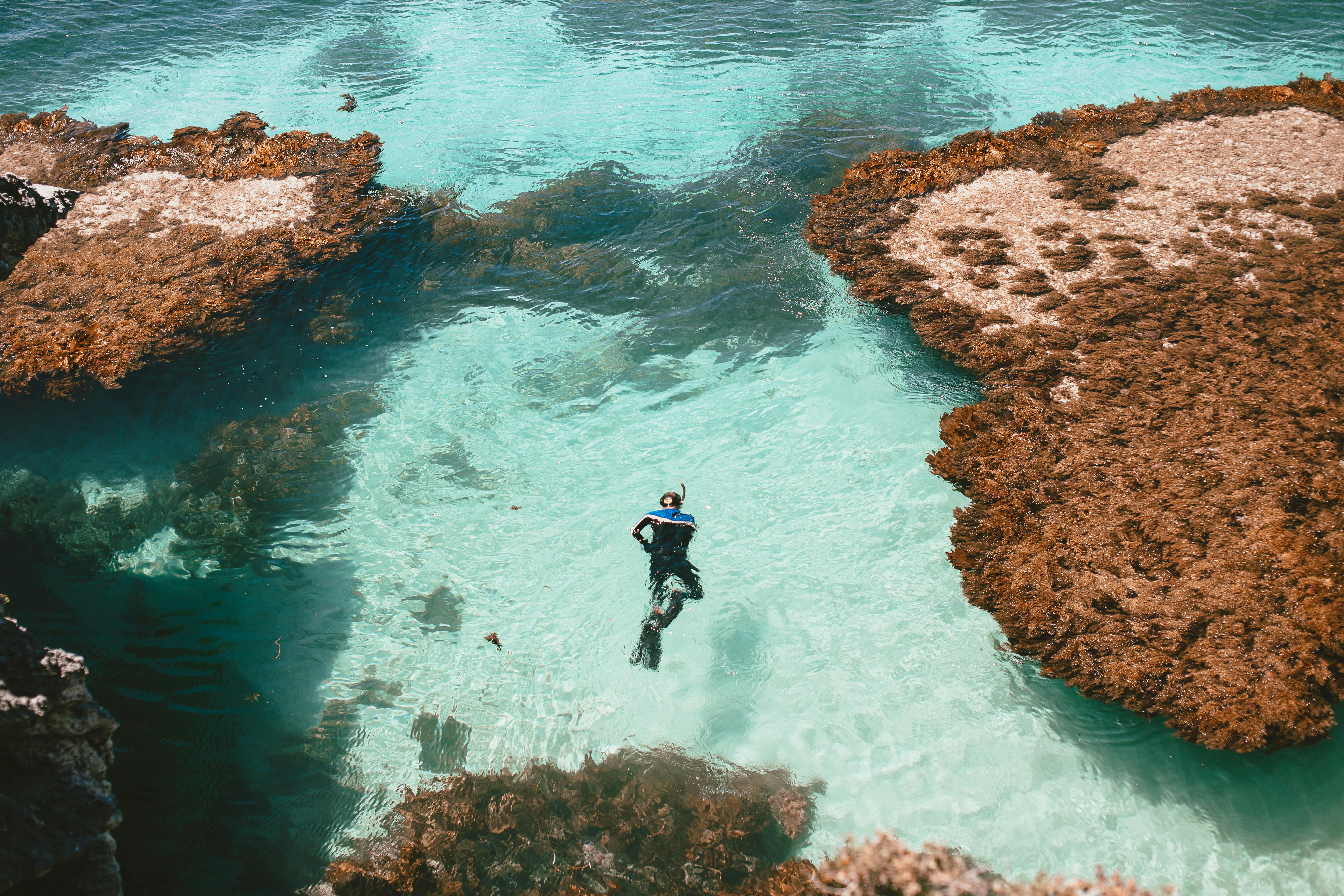 Snorkeling in New Zealand