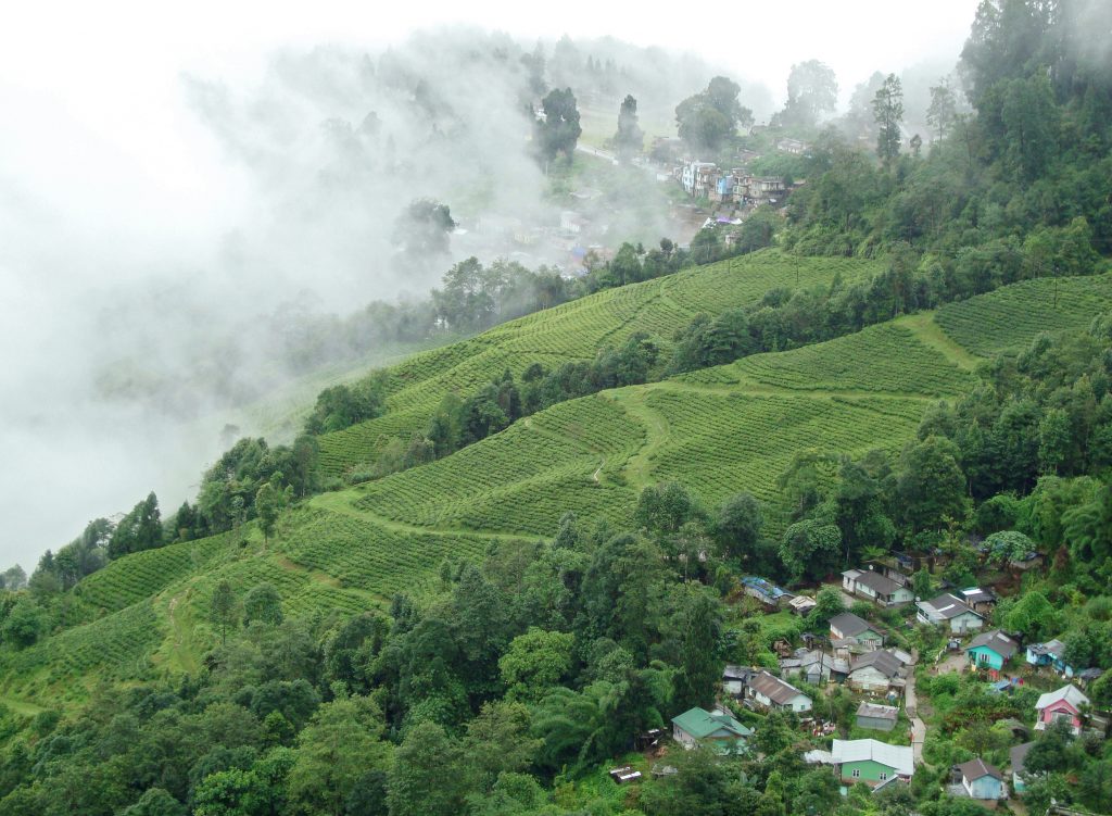 Darjeeling Mountain