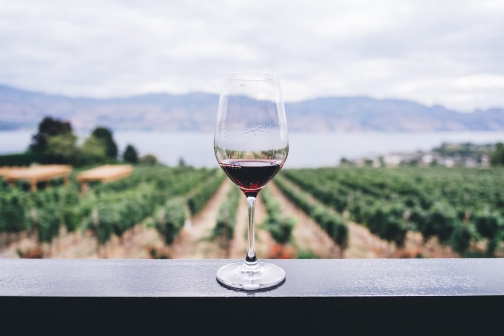 Josef Chromy wines