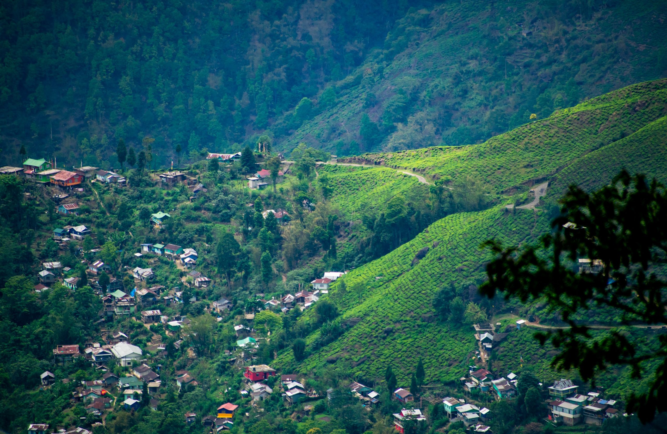 Queen Of Hills: Exploring The Best Places To Visit In Darjeeling