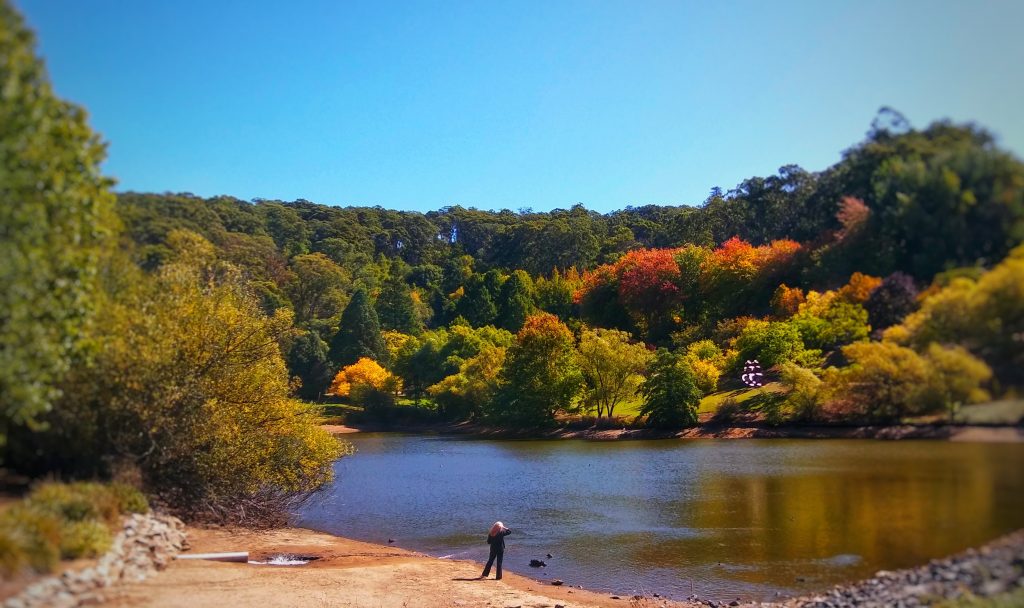 Things to do in Daylesford