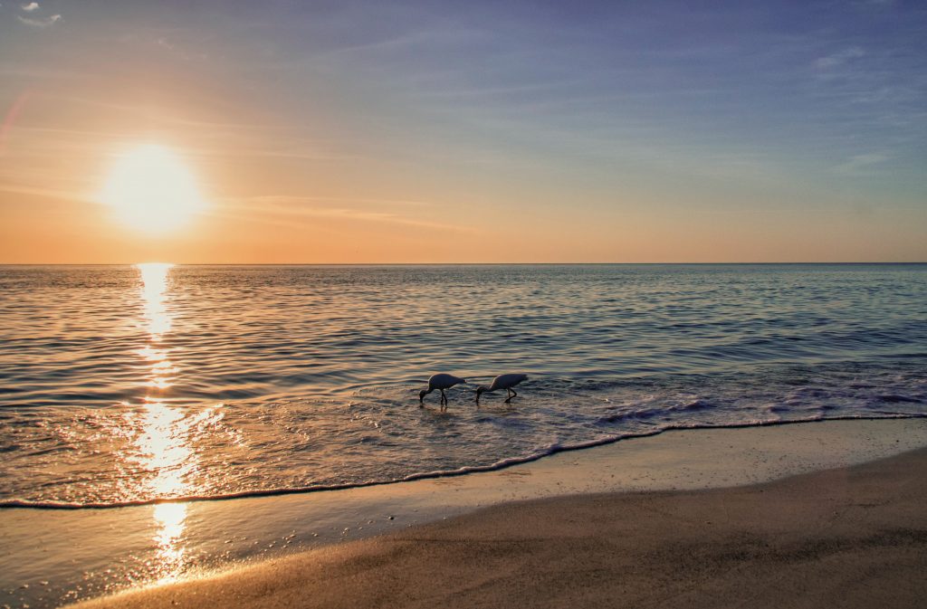 Beaches in Cape Cod