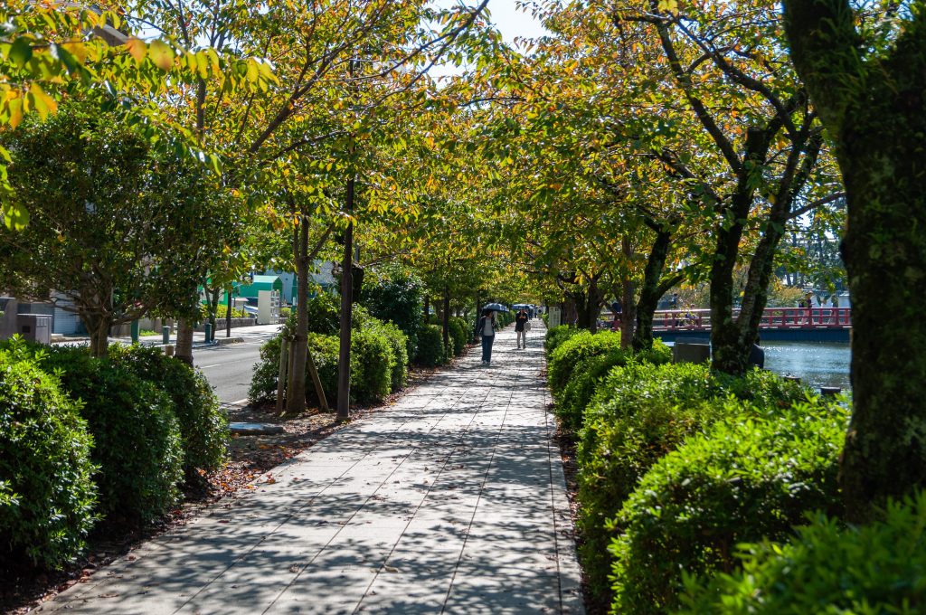 Gardens of Huerto de Calixto y Melibea