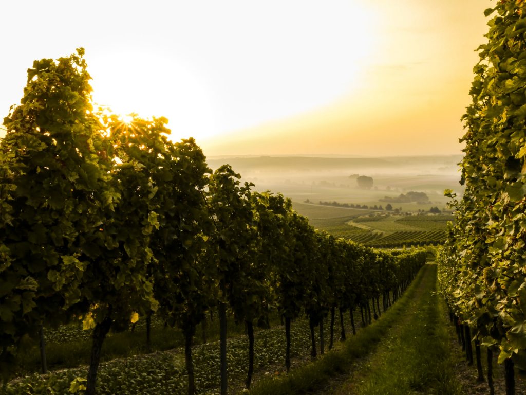 Empordà Wine Route