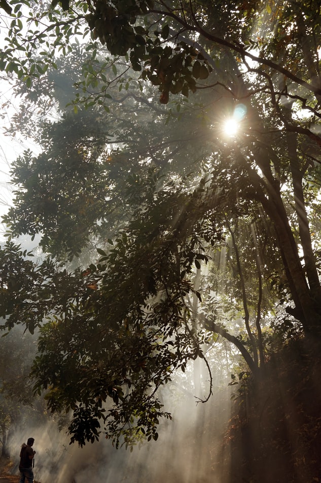 foggy tourist places in Dandeli