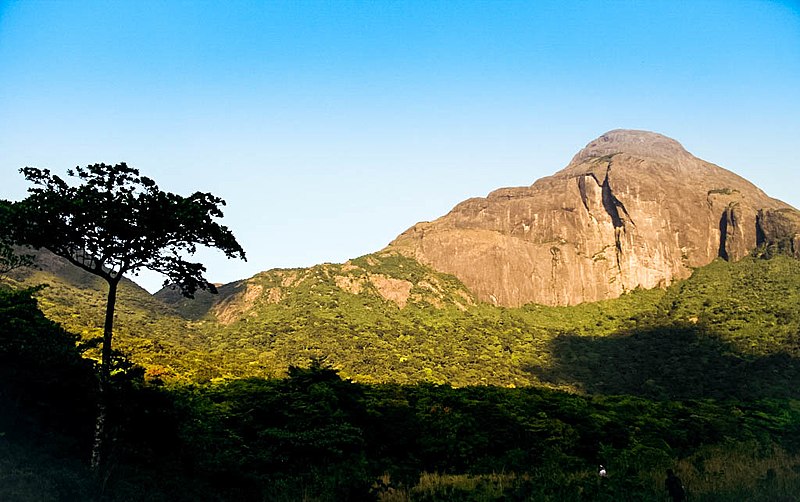 Agasthyarkoodam Peak Trekking in Kerala