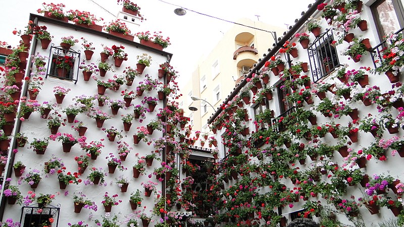 Patios de Córdoba