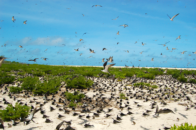 Bird Island Lodge in Bird Islands.