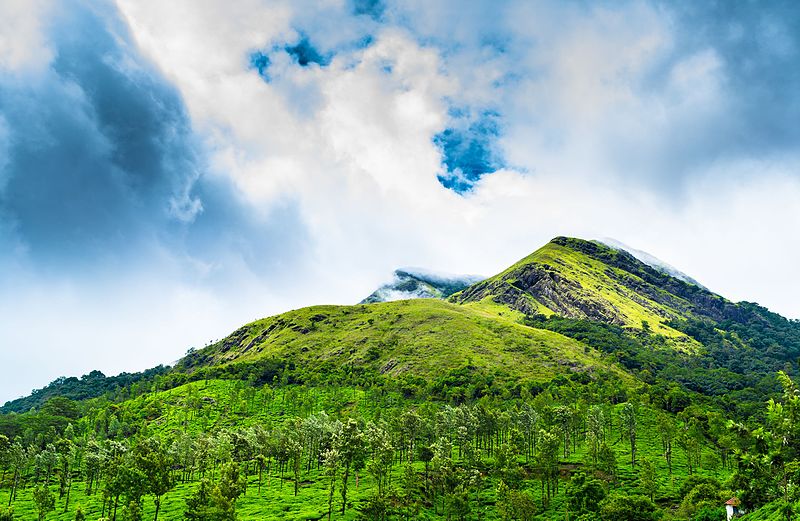 Chembra Peak Trekking in Kerala