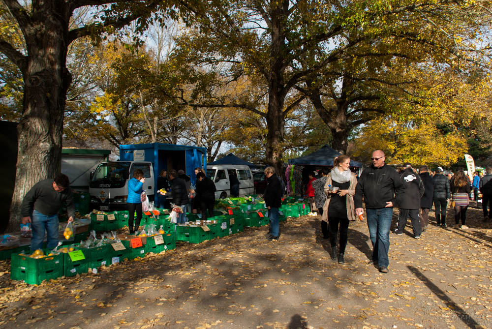 Riccarton Sunday Market