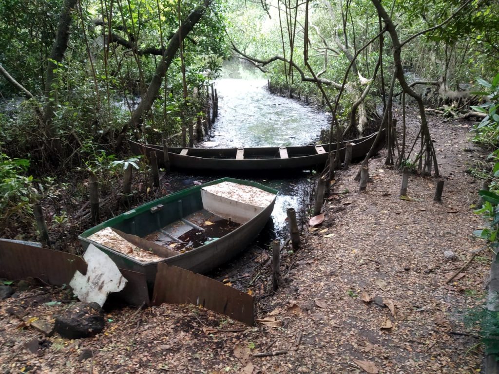 A boat and a lake