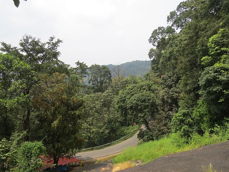 Virajpet road view