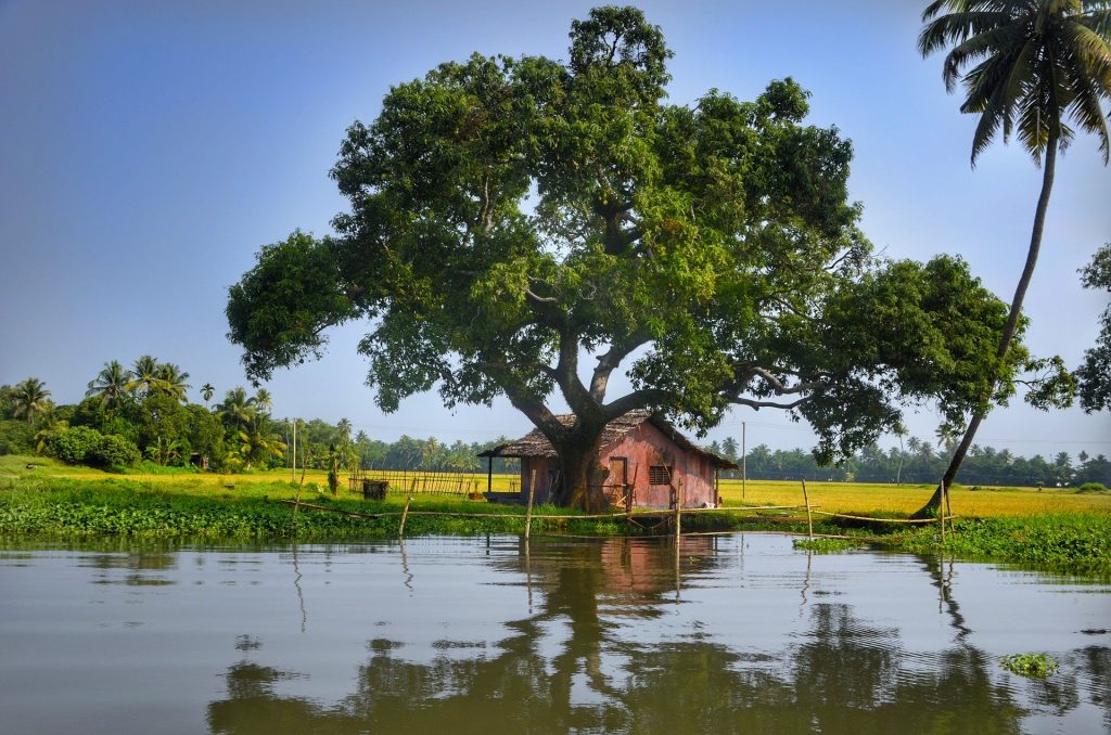 The beautiful Alleppey Backwaters