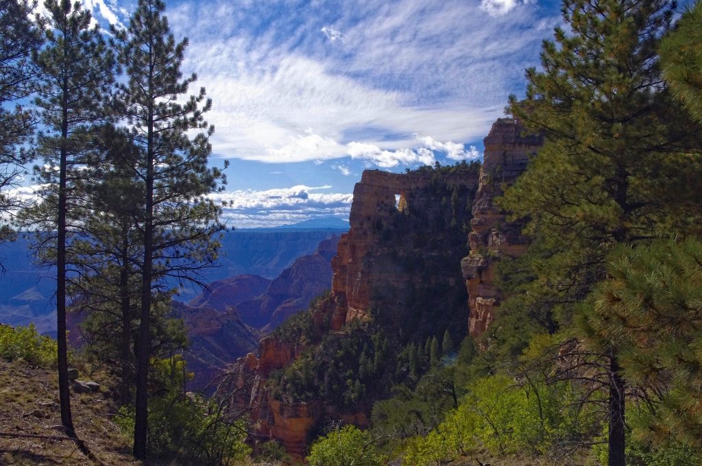 The Angels window in the Northern Rim.