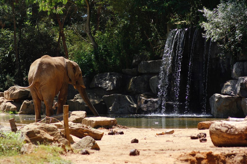 Out of Africa Wildlife Park