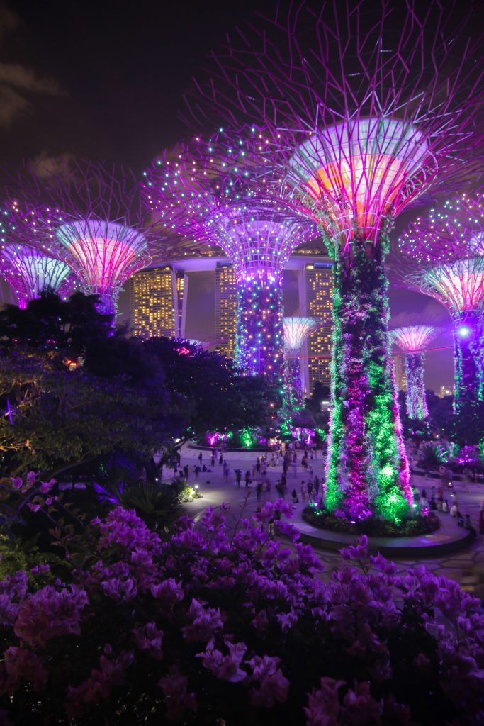 Gardens by the Bay in the night