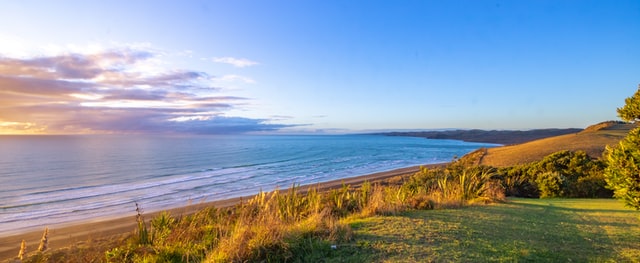 Raglan