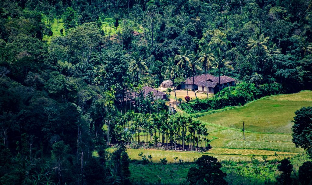 homestay in Virajpet