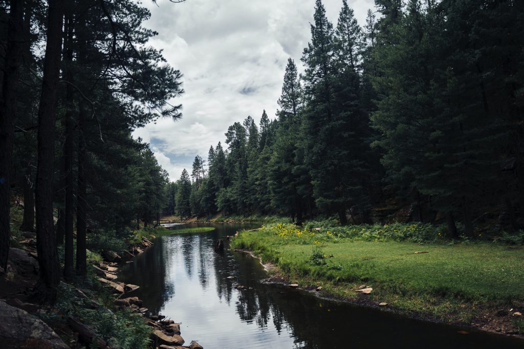 Things to Do in Payson