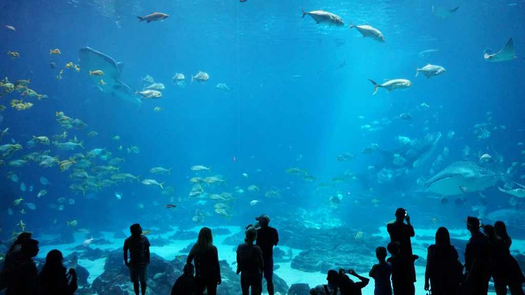 Things to Do in Carlsbad
