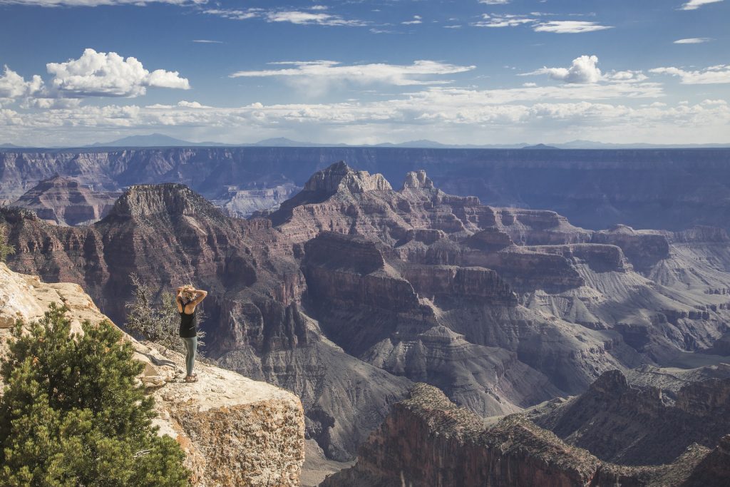 The beautiful view of the Grand Canyon.