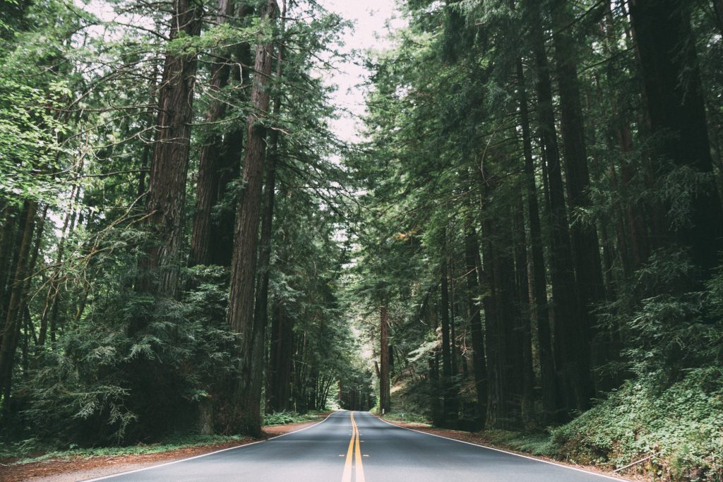 Things To Do In Redwood City