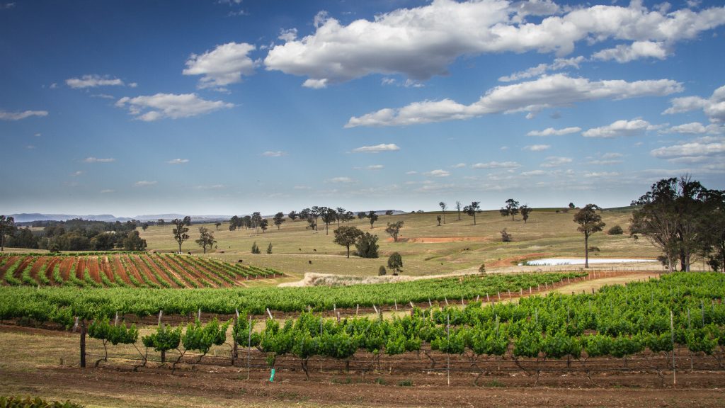 Wine Tasting in the Hunter Valley