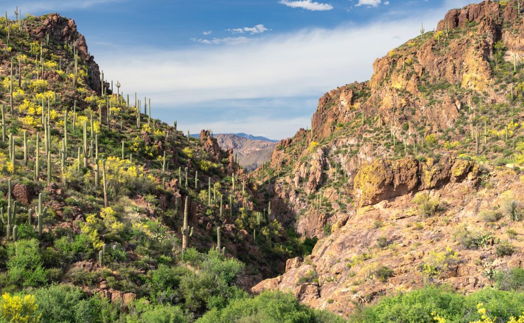 Camp Verde