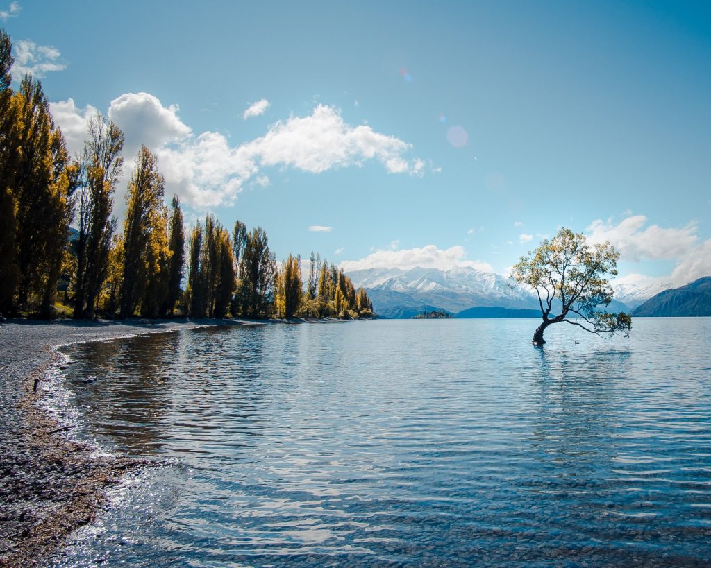 Wanaka