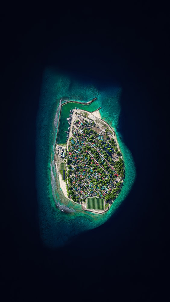 Baa Atoll Biosphere Reserve Glimpse Of Maldives' Rich Biodiversity