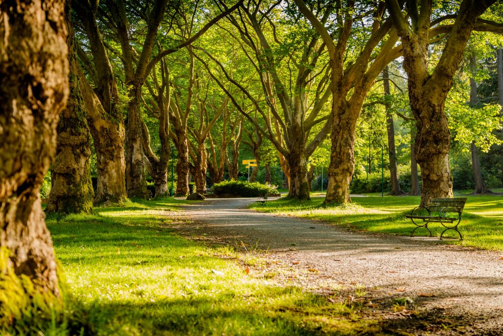 Green Valley Park