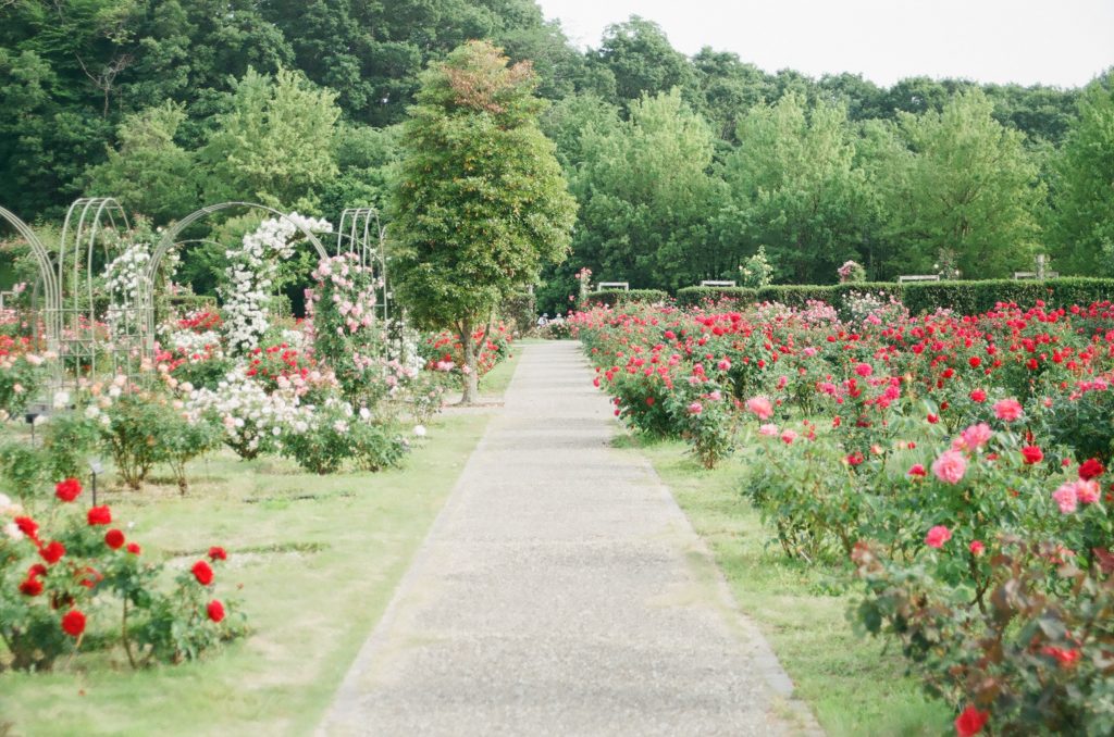 Gardens in India