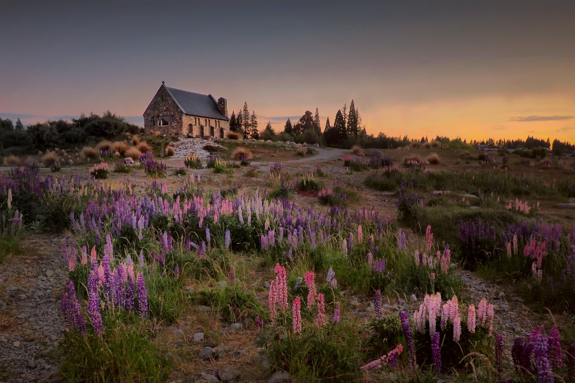 Most Beautiful Towns in New Zealand that you should visit