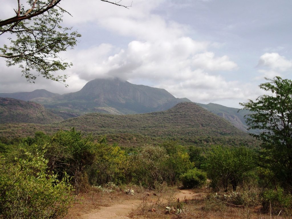 Kumarikkal Mala, One of the highest peaks in Kerala