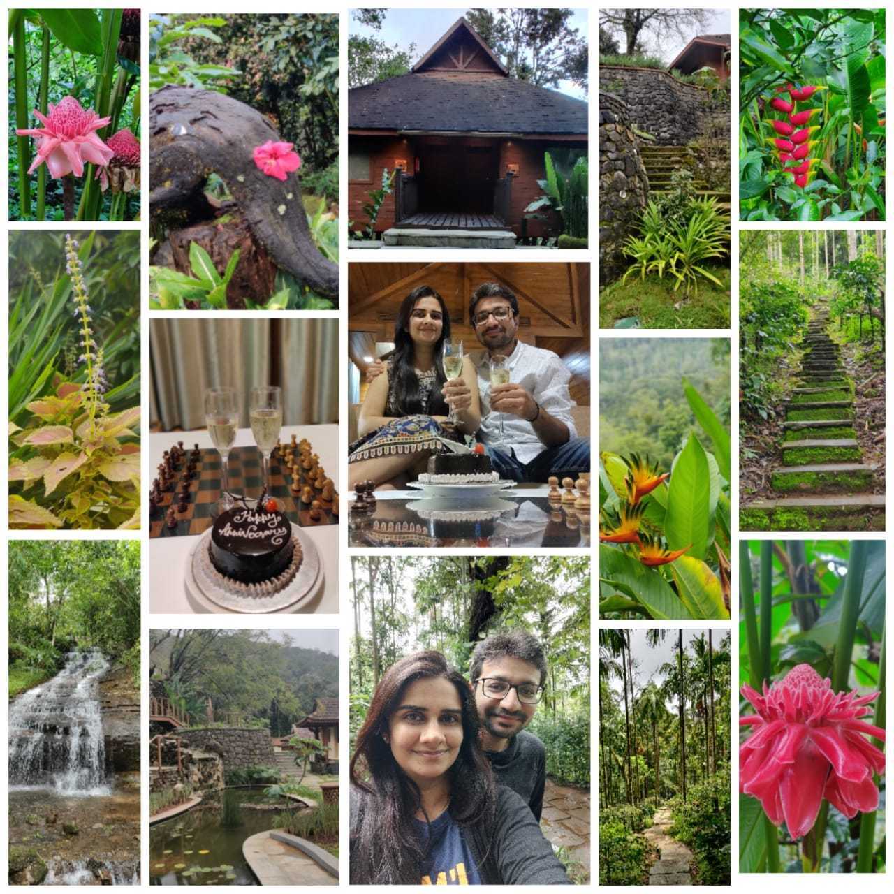 A collage of all the pictures
