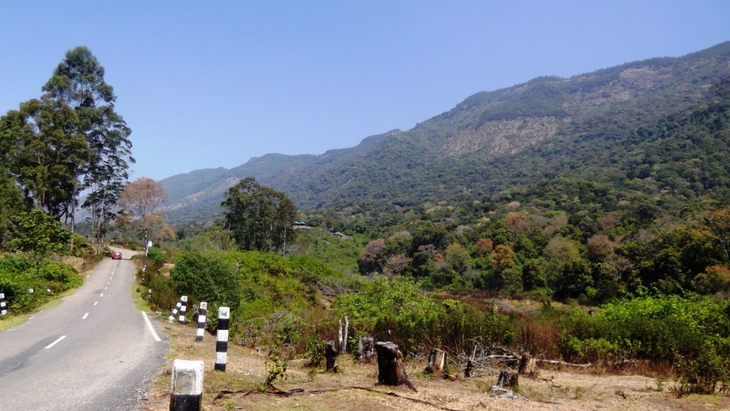 Pambadum Shola,