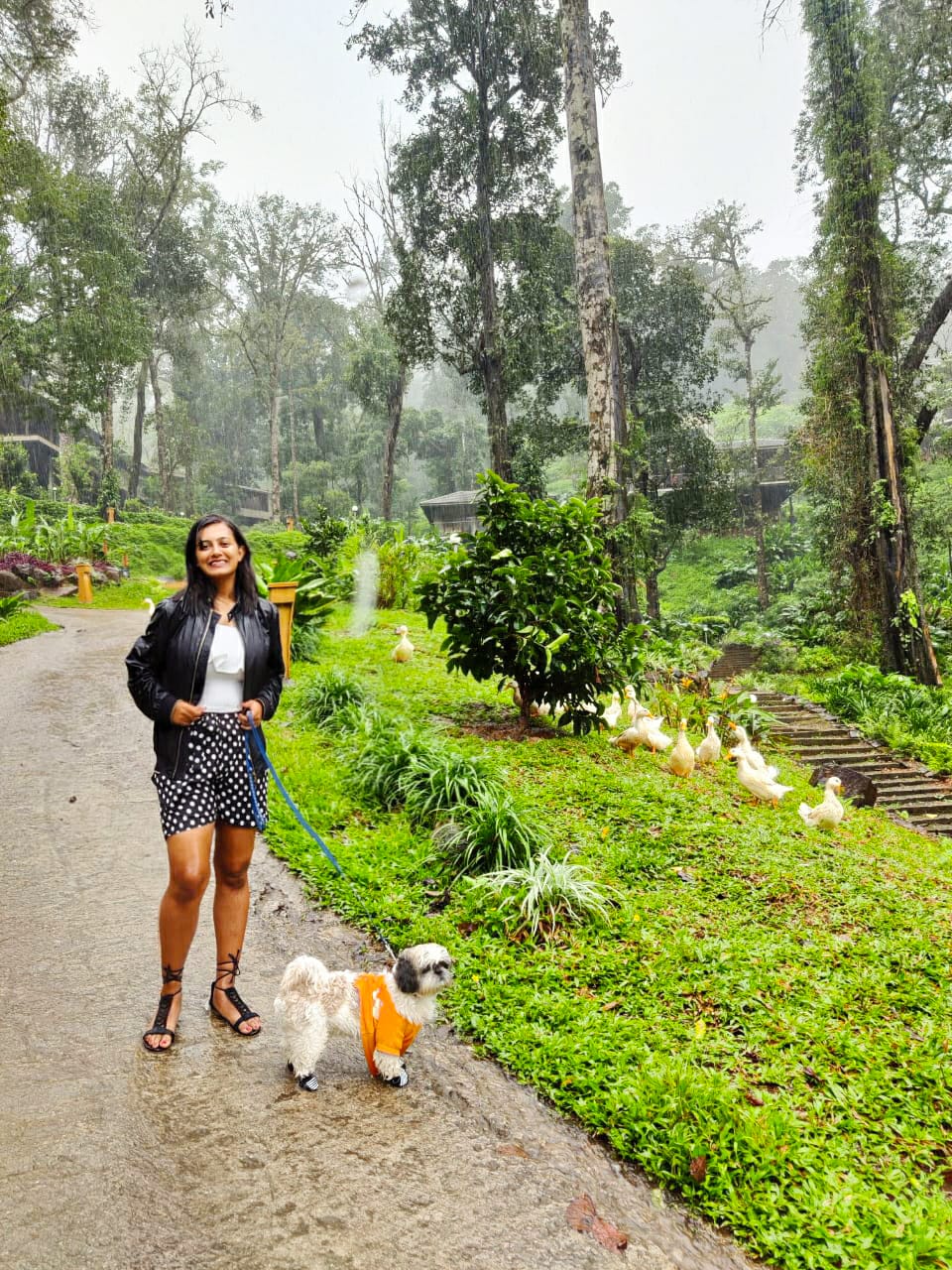 Walking with my pet