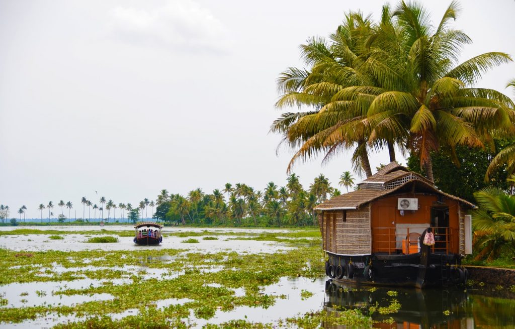 Beautiful and alluring kochi Backwaters