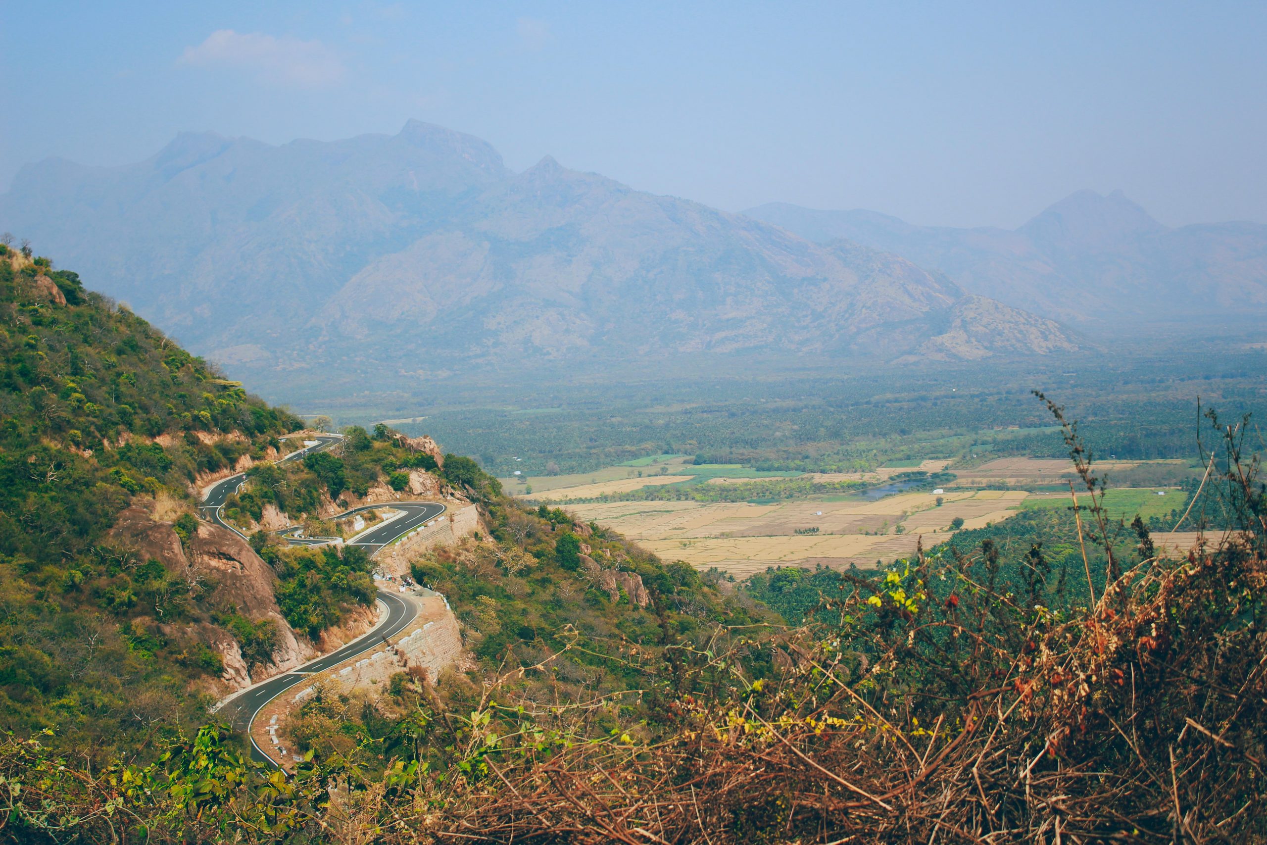 resorts-in-munnar-with-swimming-pool-a-private-haven