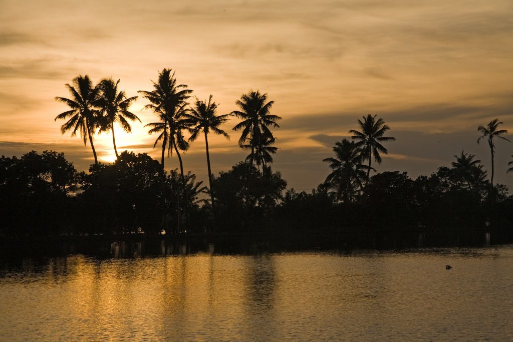 The beautiful sunset in the Backwaters of Kerala.