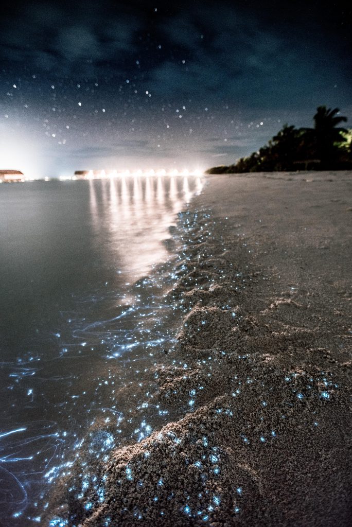 Bioluminescent beach in Maldives travel.