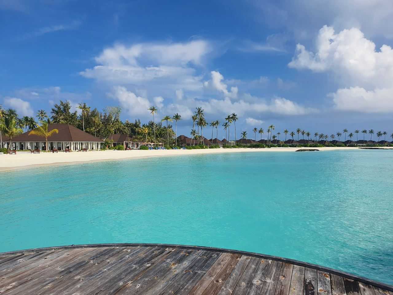 The Maldives