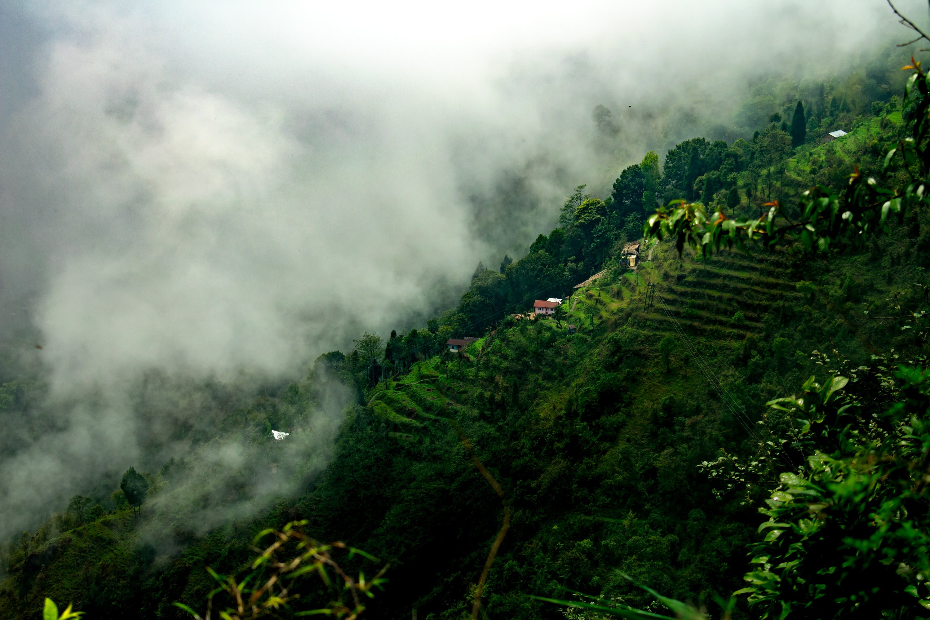 Darjeeling
