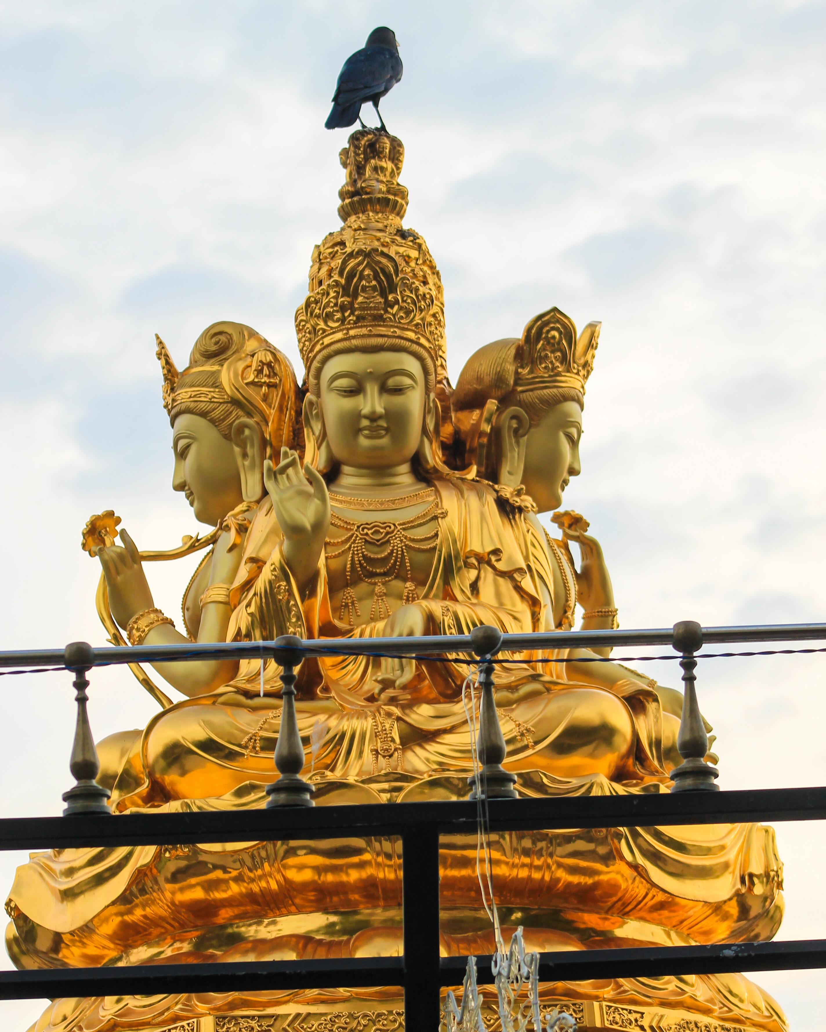 Estatuas de oro