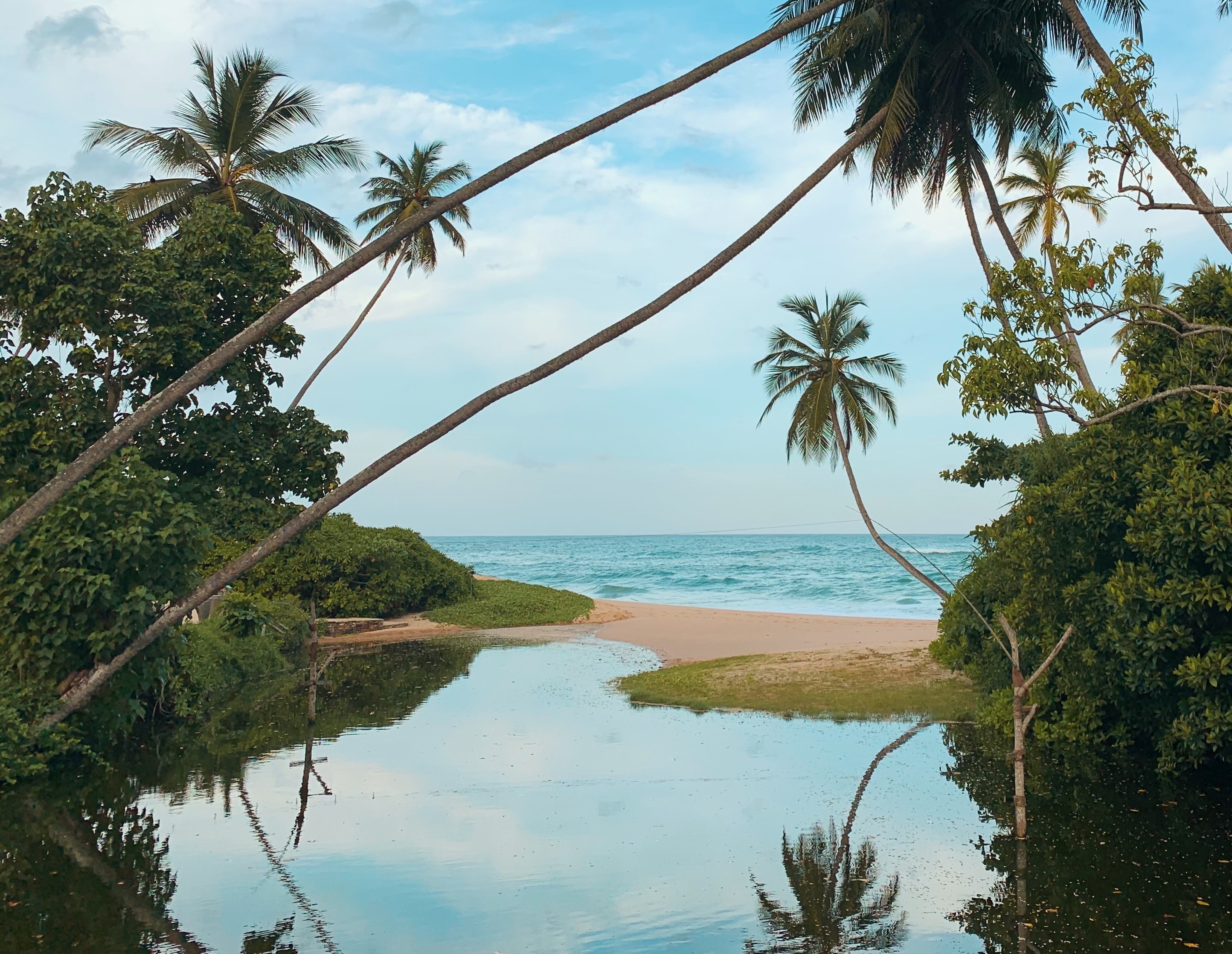 6 MustVisit Islands in Sri Lanka On Your Next Vacation Pickyourtrail