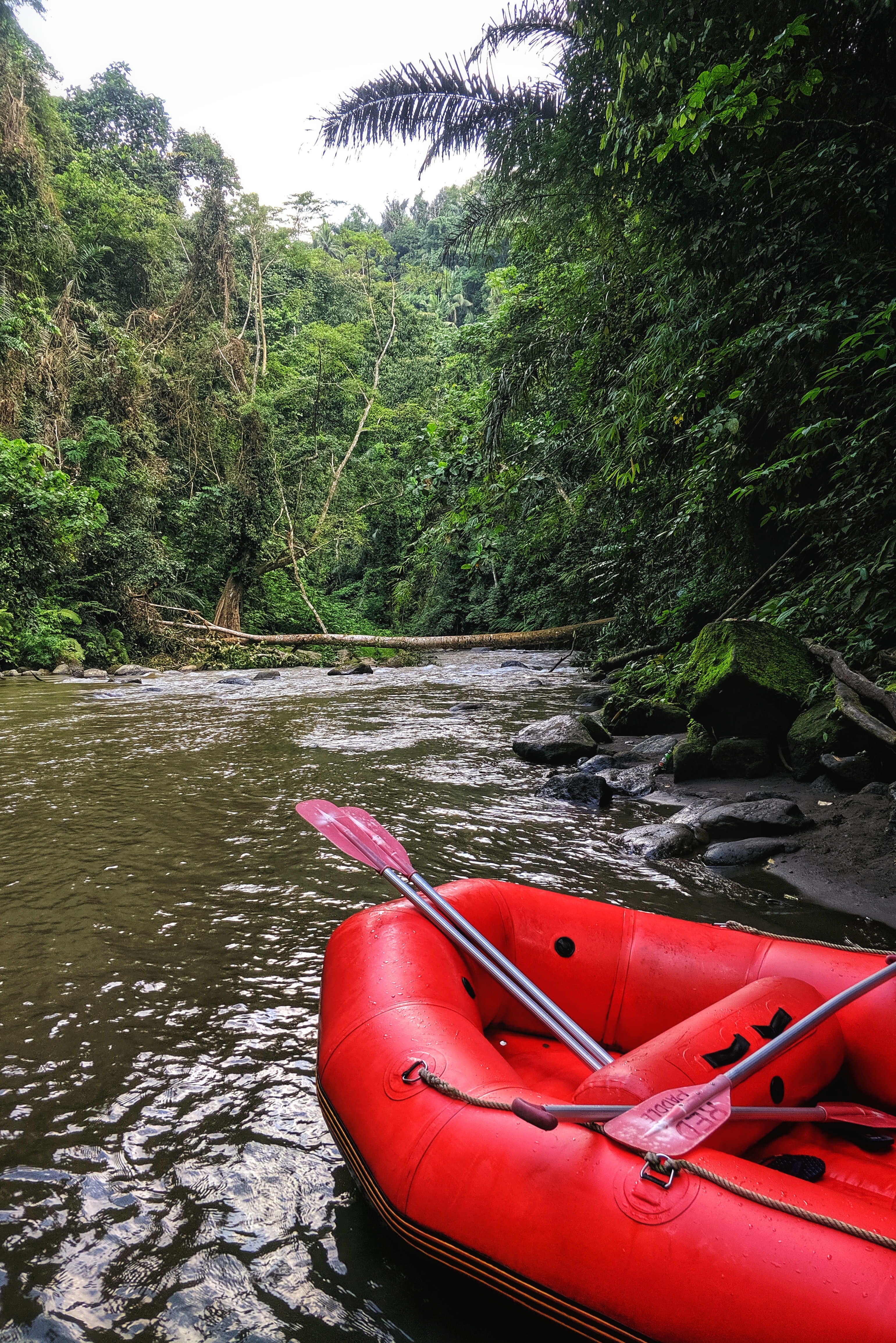 White Water Rafting Ayung River