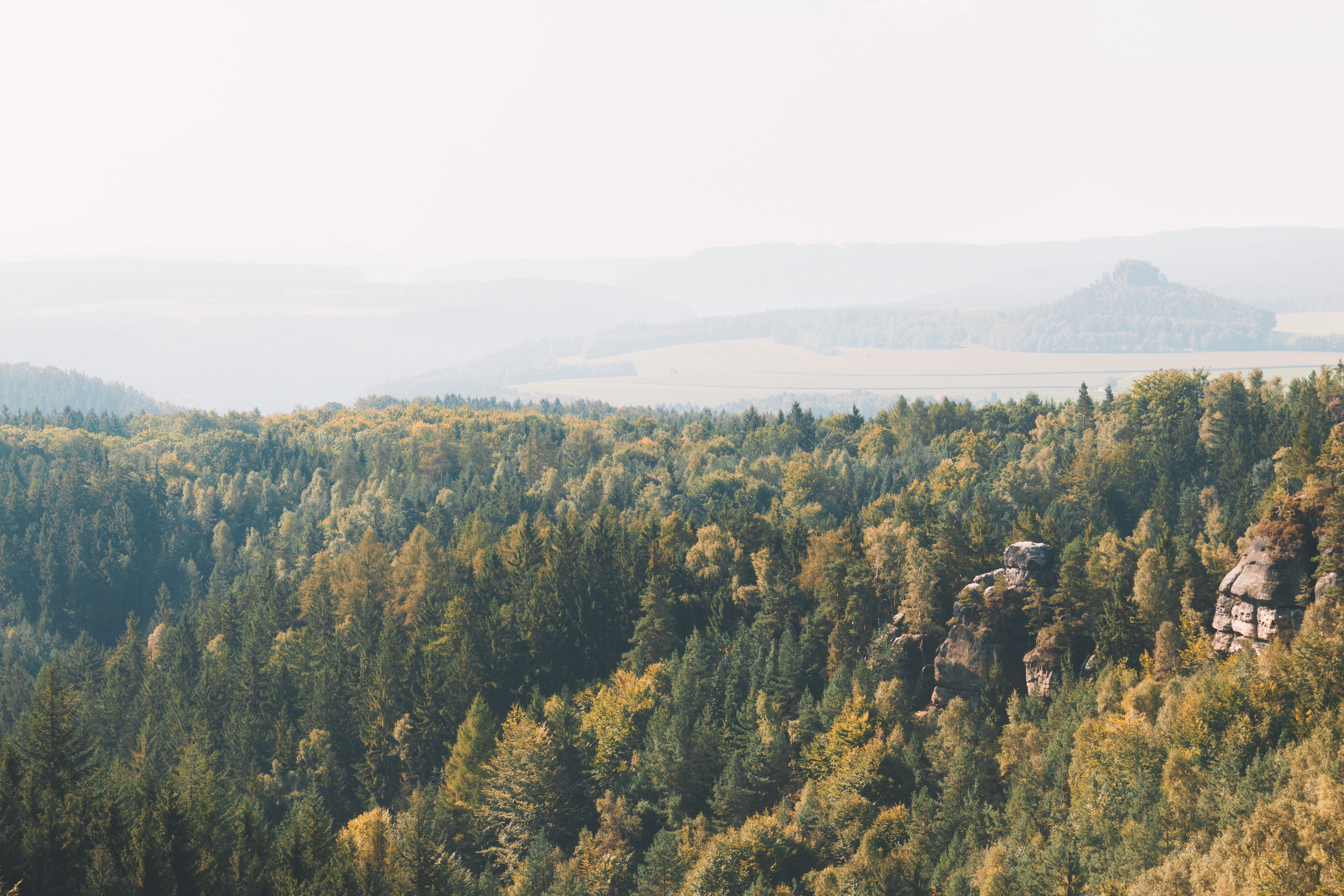Saxon Switzerland National Park, Germany, National Parks to Visit in Europe