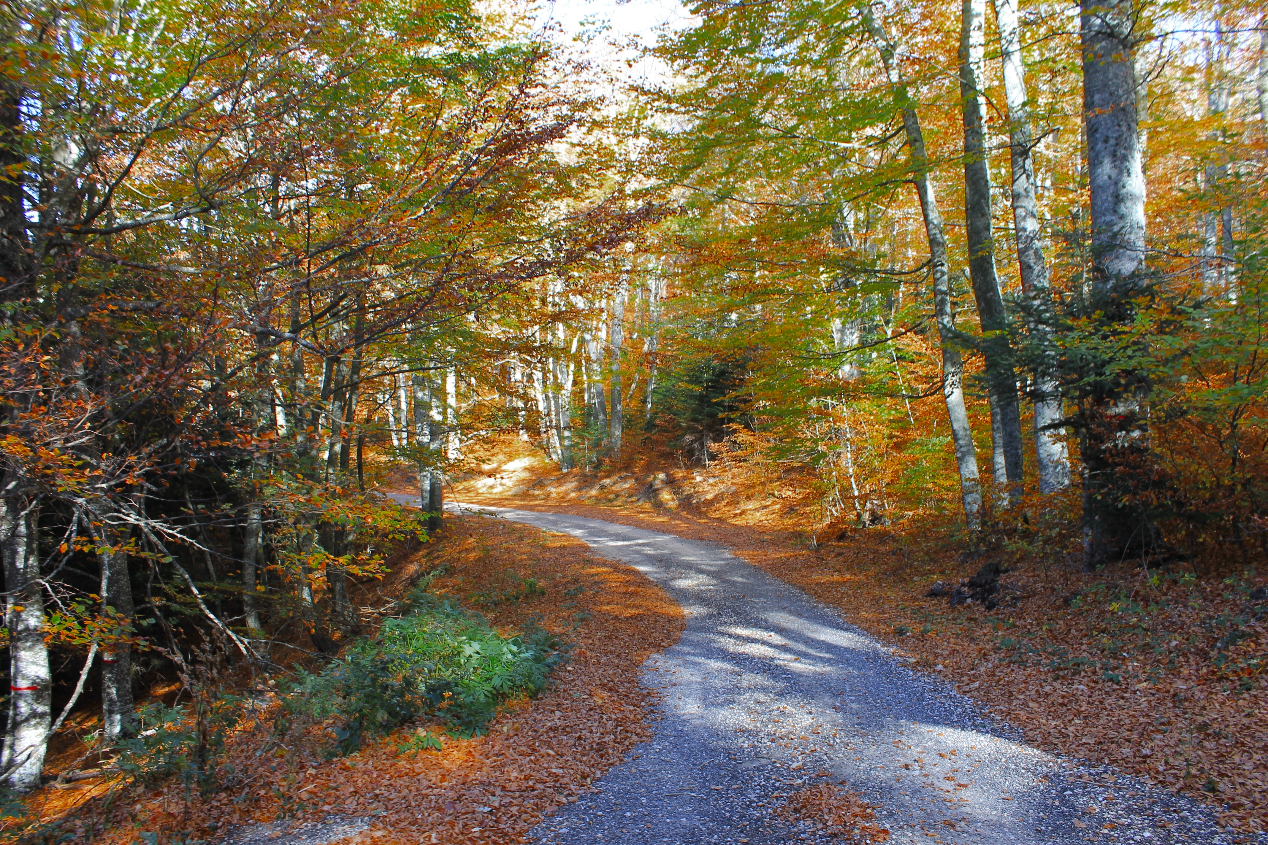 Strolling In Shores And Villages, Things To Do In France in November